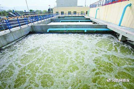 污水处理技术的作用有哪些